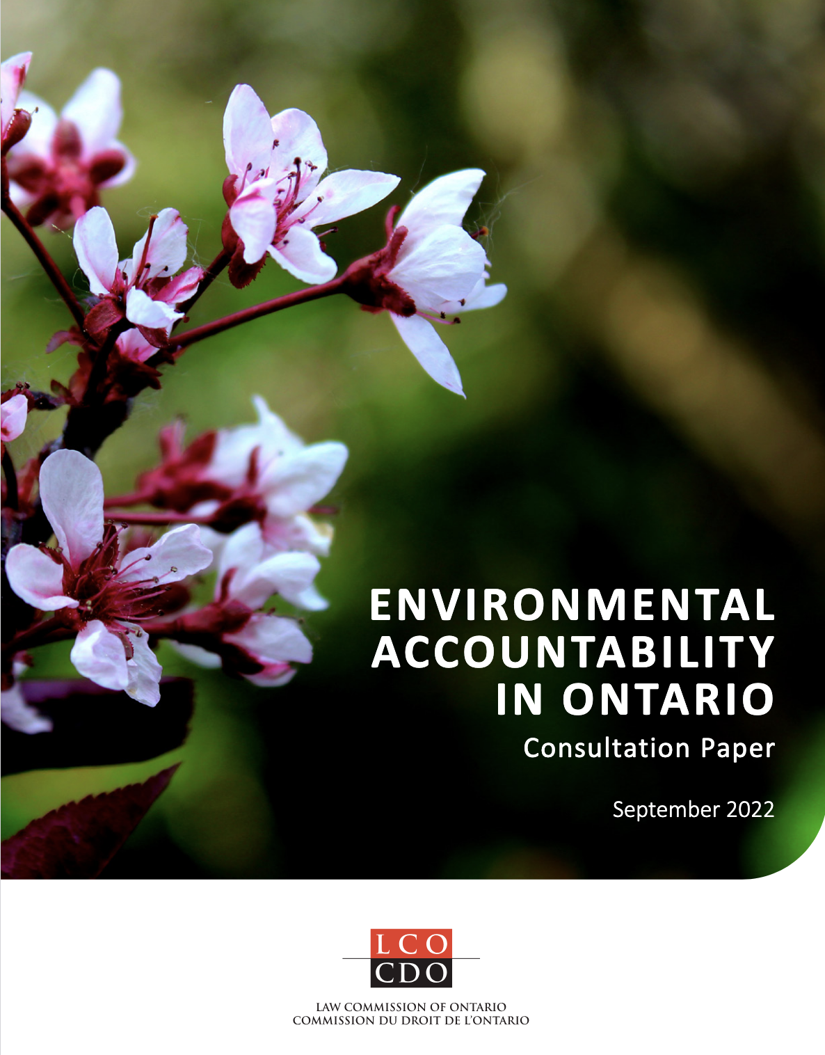 Cover of Environmental Accountability Consultation Paper