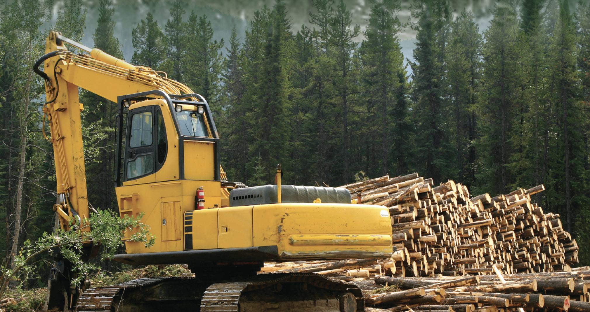 Forestry Workers banner showing a logging truck taking trees down